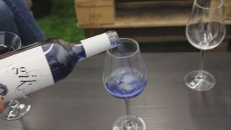 Blaumacher: Blauer Wein ist der  Sommerhit aus Spanien