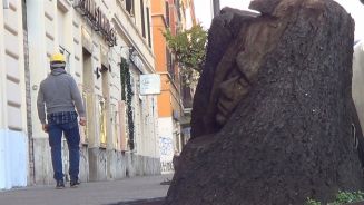 Rom verschönert: Künstler haucht toten Bäume Leben ein